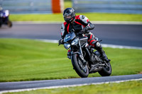 PJ-Motorsport-2019;anglesey;brands-hatch;cadwell-park;croft;donington-park;enduro-digital-images;event-digital-images;eventdigitalimages;mallory;no-limits;oulton-park;peter-wileman-photography;racing-digital-images;silverstone;snetterton;trackday-digital-images;trackday-photos;vmcc-banbury-run;welsh-2-day-enduro